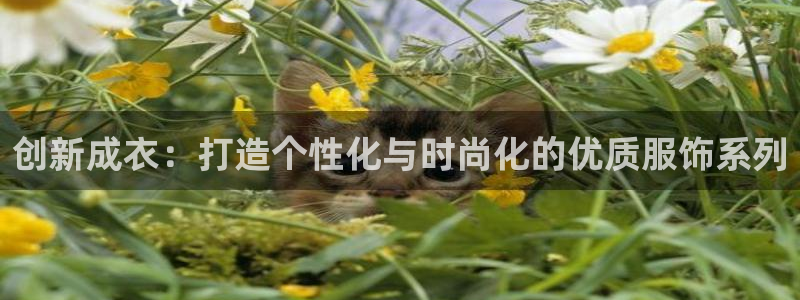 利记官网平台入口