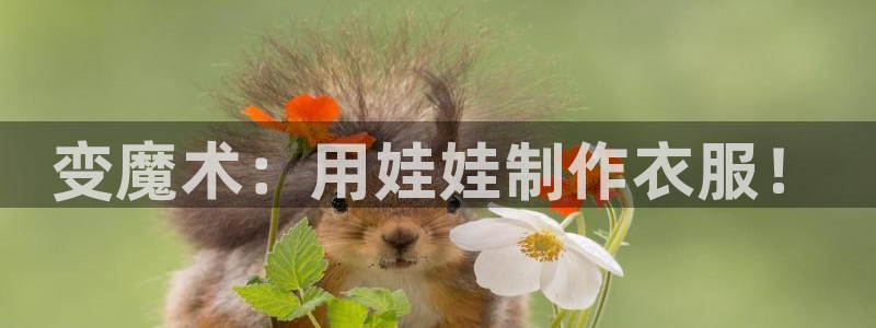 利记官网日亚运比
