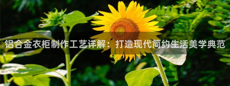 利记游戏官网