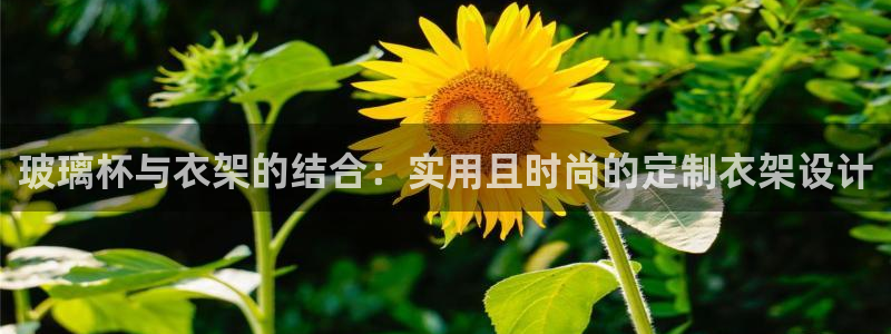 利记官网首页