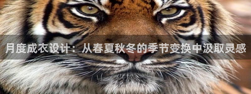 利记网官网网址
