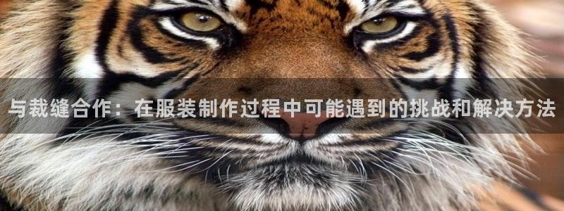 利记买球官网