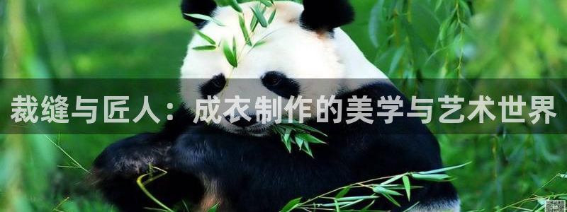 利记娱乐网官网