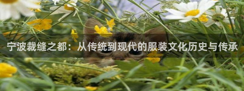利记彩票官网wx678 com