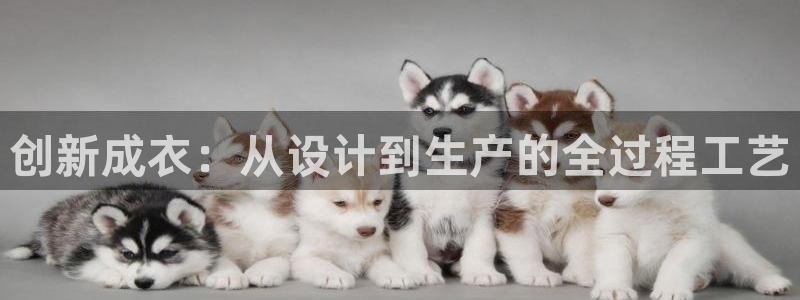 利记sbobet官网电脑版