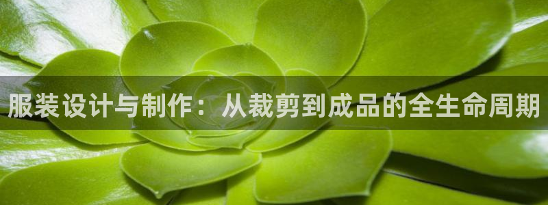 利记官网app下载网址