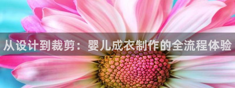 利记官网