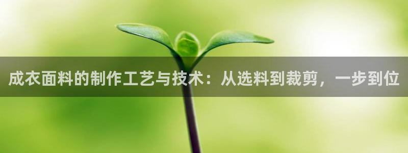利记手机官网入口