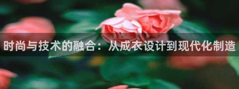 利记买球官网