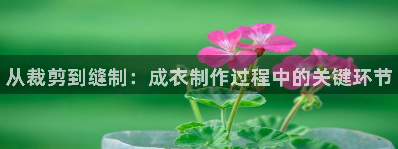 利记官网葡京投注网址