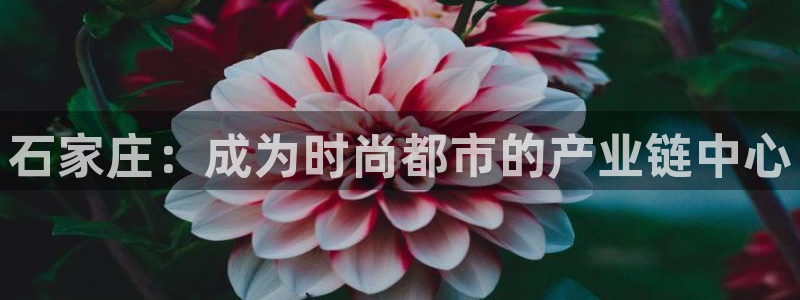利记官网官方网站