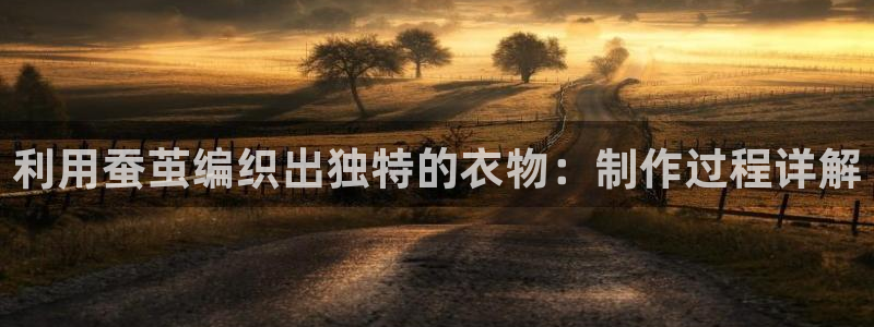 利记二手车行官网