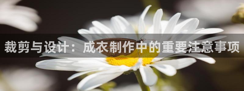 利记官网香菜1