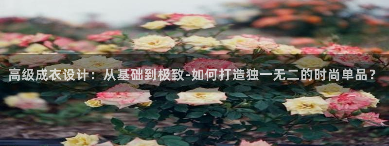 利记官网入口最新版