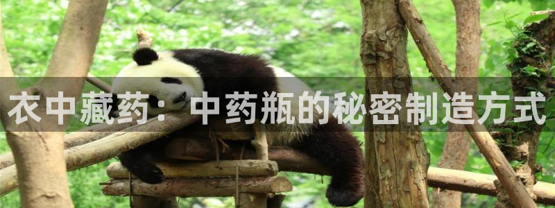 利记买球官网