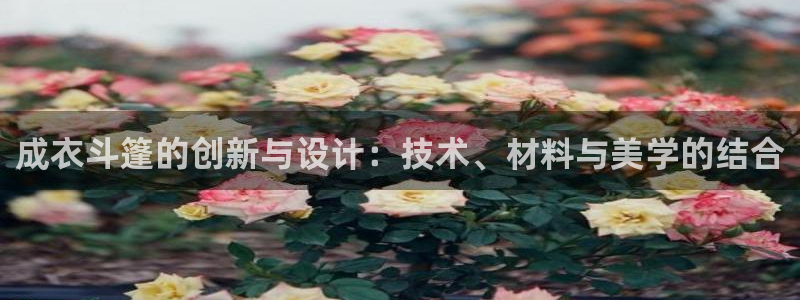 利记官网平台入口