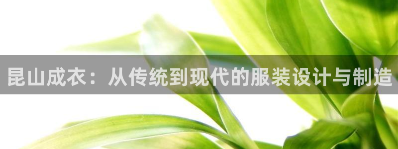 利记官网电脑版