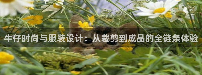 利记网址注册官网