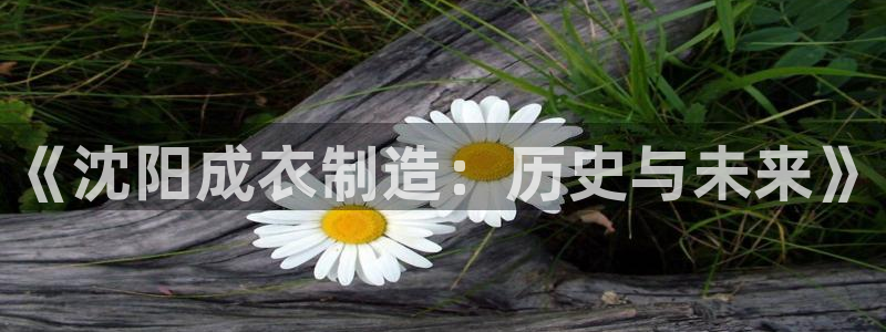利记 利记官网
