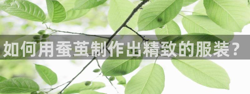 万利记加盟官网电话