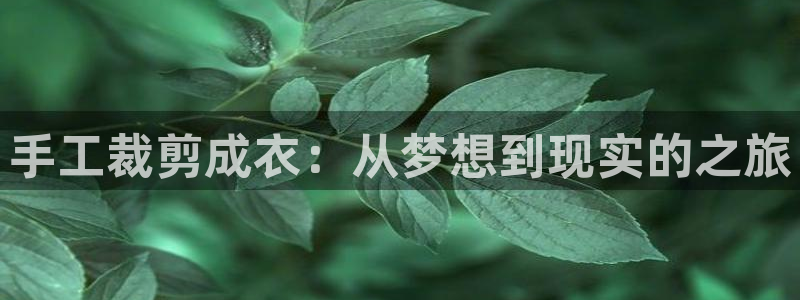 利记bet官网登录入口