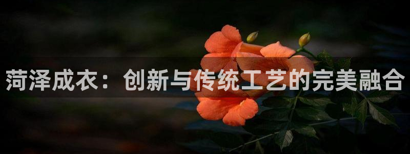 利记彩票导航网址官网hd71