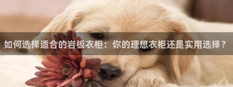 澳博官网app利记网址