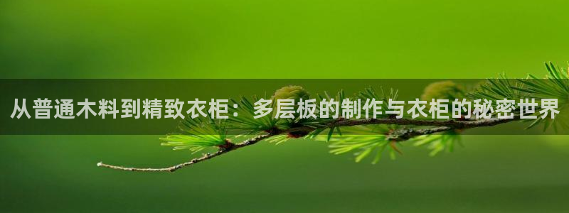 利记厨具官网售后