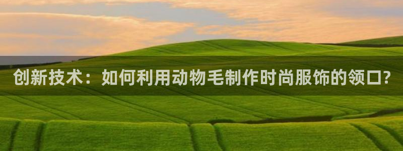 利记官网官方网站