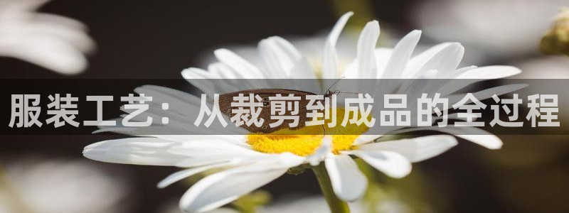 利记体育官网地址