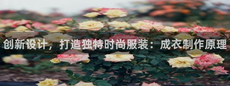 利记官网app下载网址