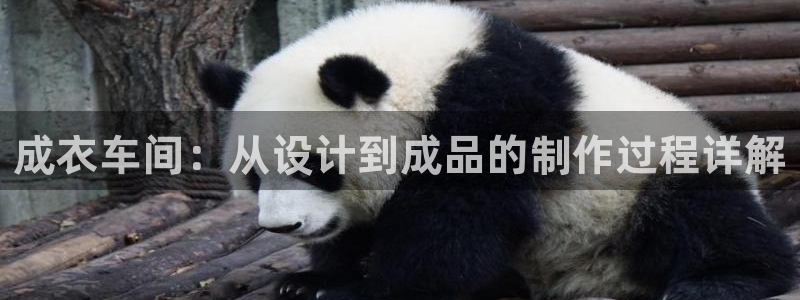 铂利记旗舰店官网电话